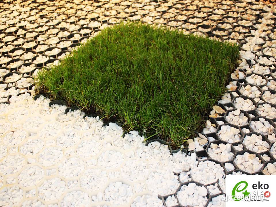 KRATKA TRAWNIKOWA DROGOWA SG Typ 1 50X50X4