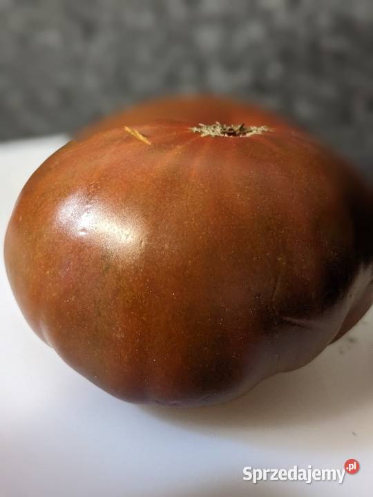 Oxheart pomidor nasiona kolekcjonerdkie małopolskie