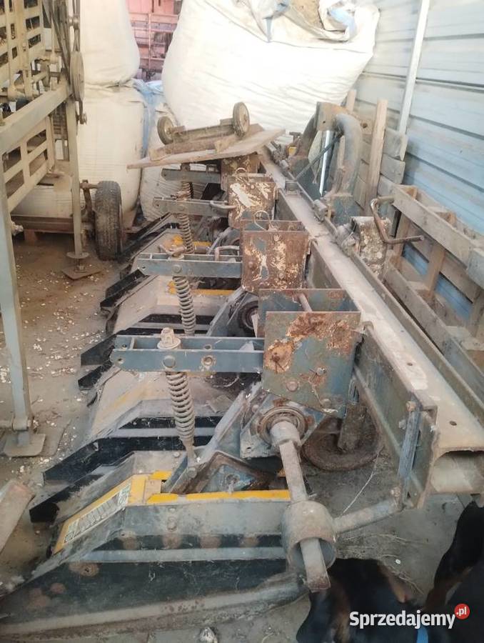 Glebogryzarka czterorzędowa lubelskie Mogilnica