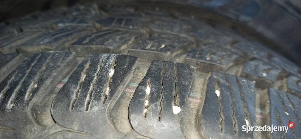 Opony zimowe z felgami Dębica
