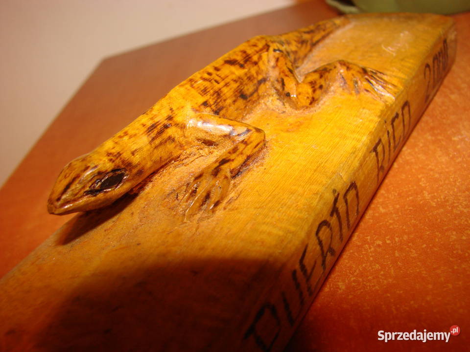 jaszczurka nadrzewna Puerto Rico Rękodzieło Pruszcz Gdański