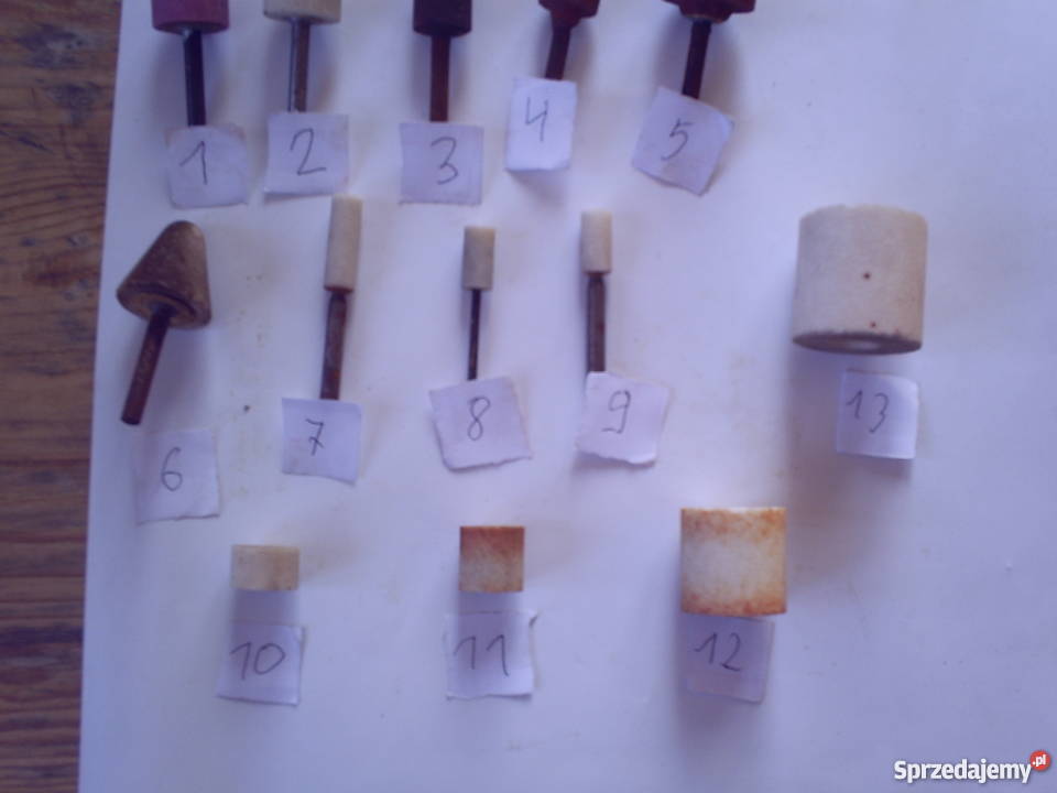 Ściernica trzpieniowa Ręczne lubelskie Krasnystaw