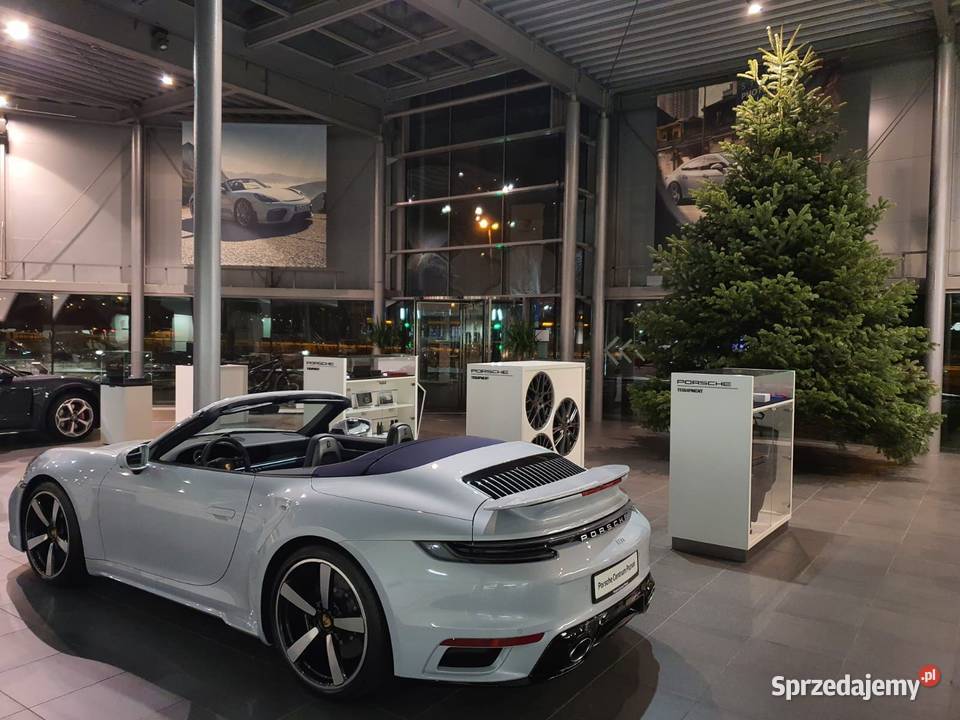 choinka xxl 3 4 5 6 7 8 m jodła kaukaska premium Golęczewo