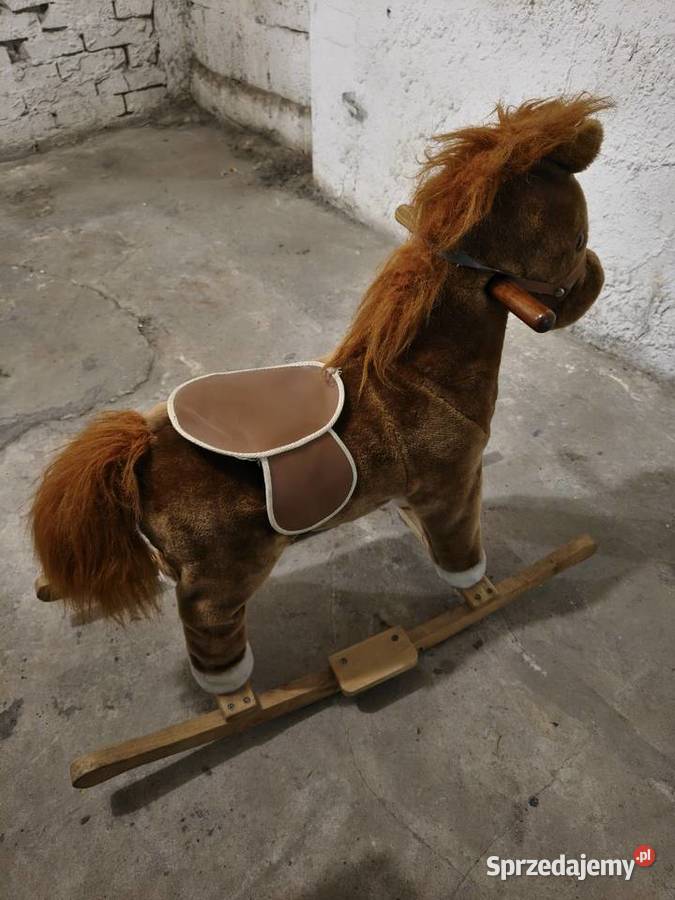 Koń na biegunach śląskie Tychy