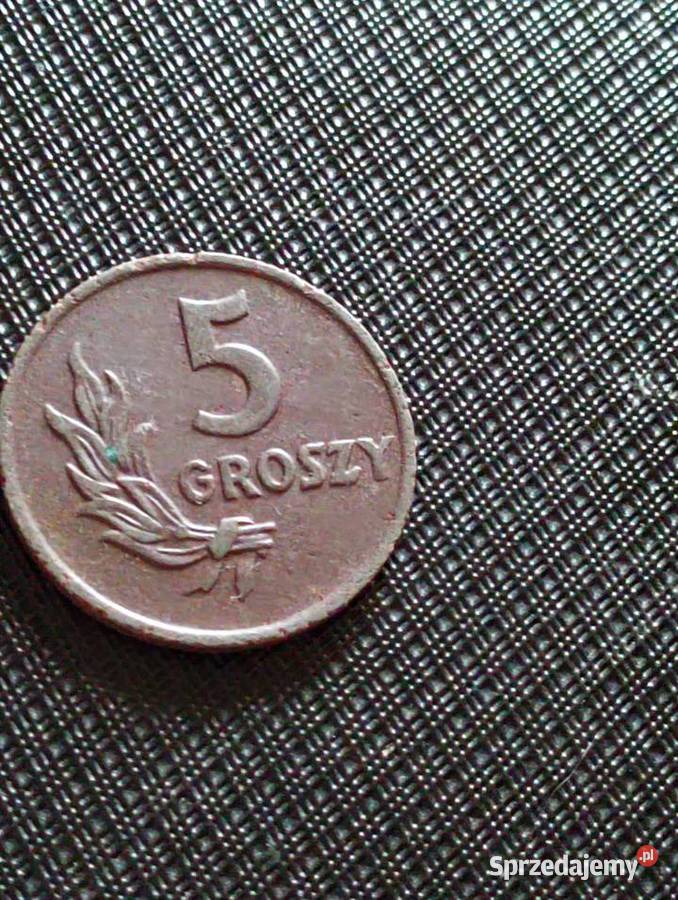 Sprzedam braz 5 gr 1949 r bzm Chełm sprzedam