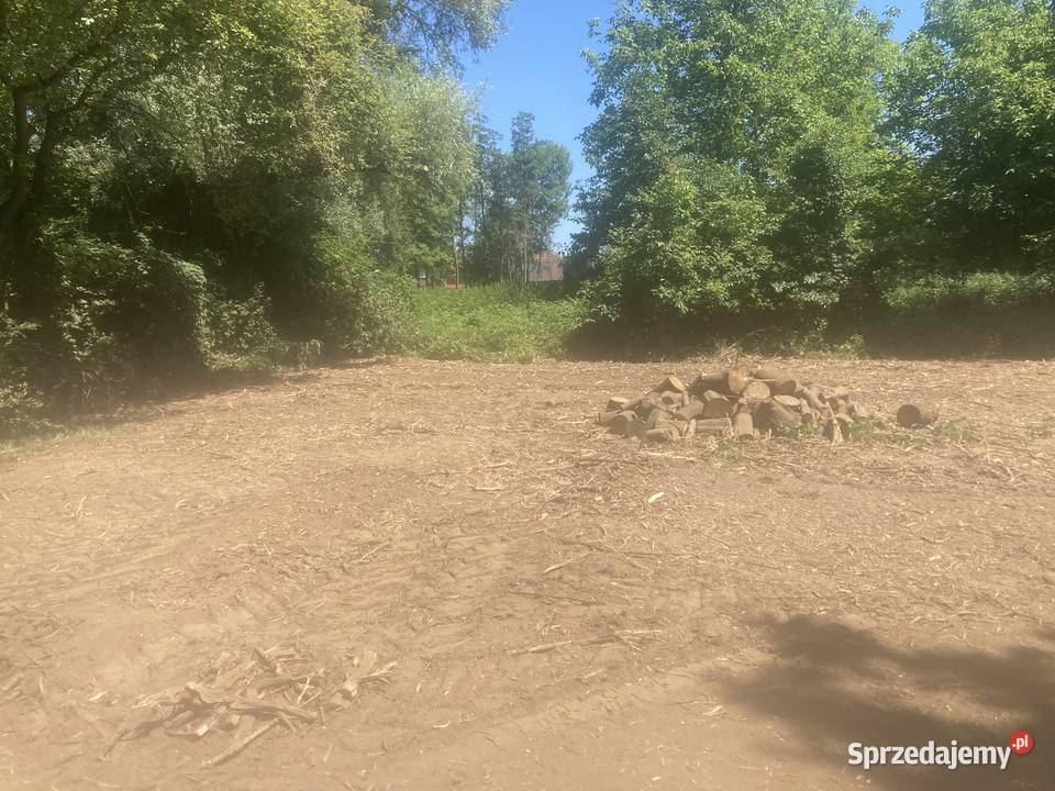 wycinka drzew karczowadzie działek mulczer leśny Dobranowice