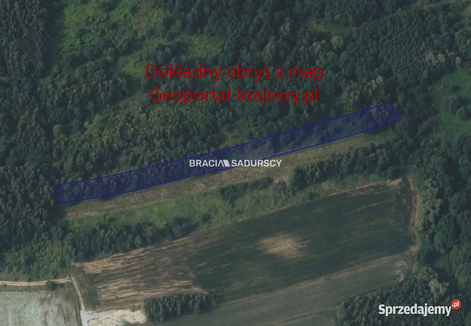 sprzedaży działki 4800 metrów Bodzanów 15m