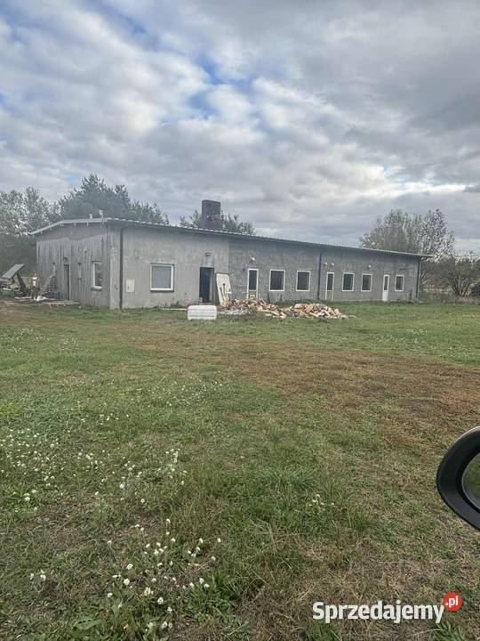 Syndyk sprzeda nieruchomość miejscowość Sochaczew