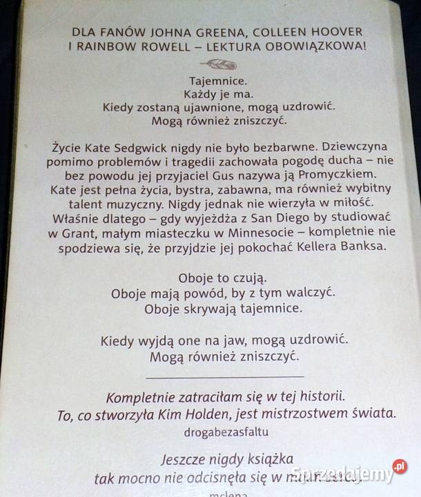 Promyczek Kim Holden Chełm sprzedam