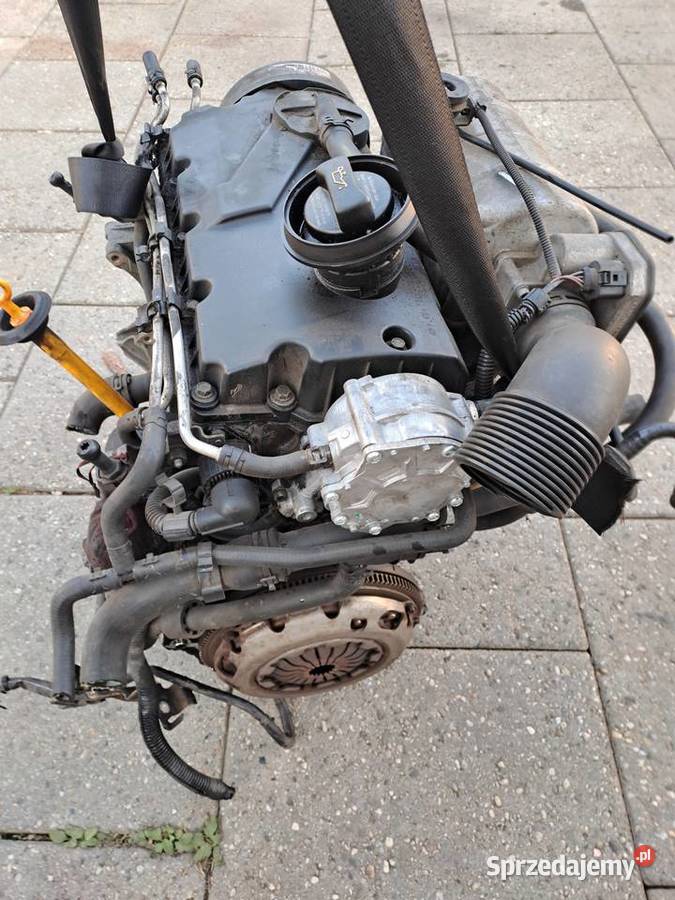 Volkswagen Caddy Golf V 20 SDi silnik kompletny osobowe Jastrzębie-Zdrój