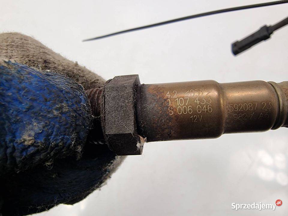 SONDA RENAULT CLIO III 258006046 Lipno