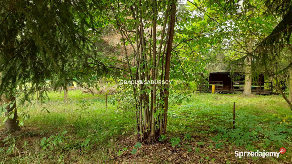 Grunt Lusina 450m2 sprzedam