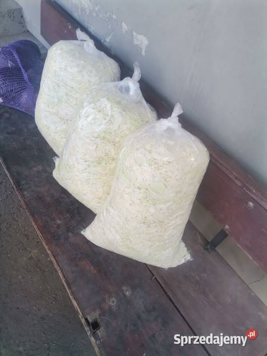 SPRZEDAM KAPUSTA SZATKOWANA SZATKA KAPUSTA Worki małopolskie Proszowice