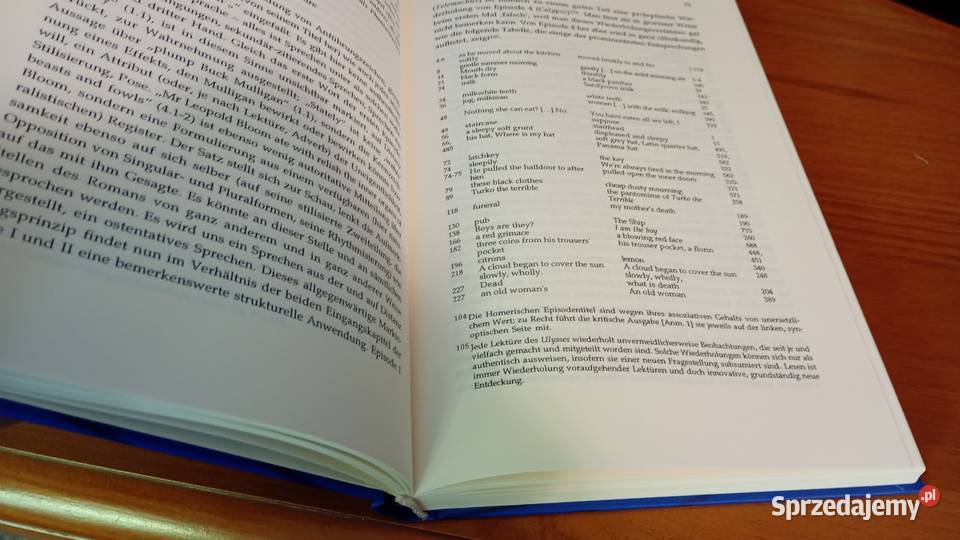 Die Phantasie des Ulysses Lektre Lobsien Eckhard Gdańsk