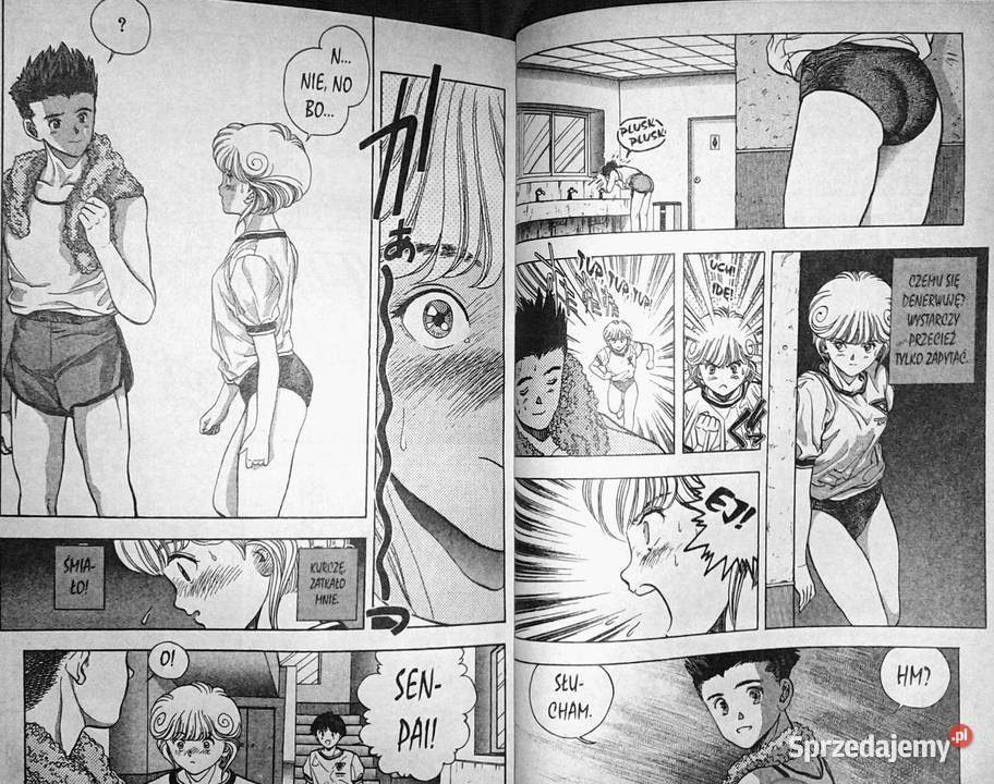 Video Girl Ai 4 Masakazu Katsura Chełm sprzedam