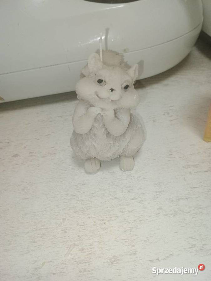 Świeczka wiewiórka Łódź