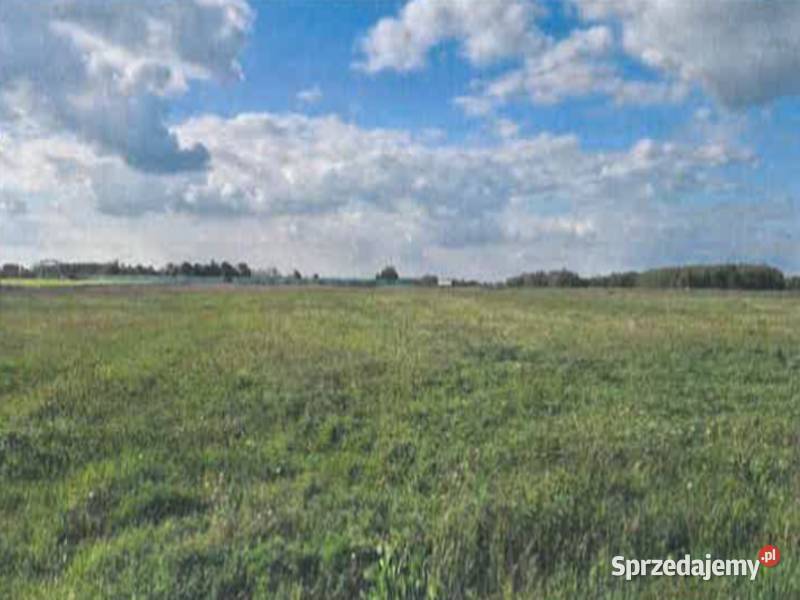 Sprzedaż nieruchomości Brzozówka 276 ha 27588m2