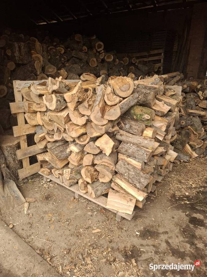 Drewno drzewo opałowe Jabłoń suche