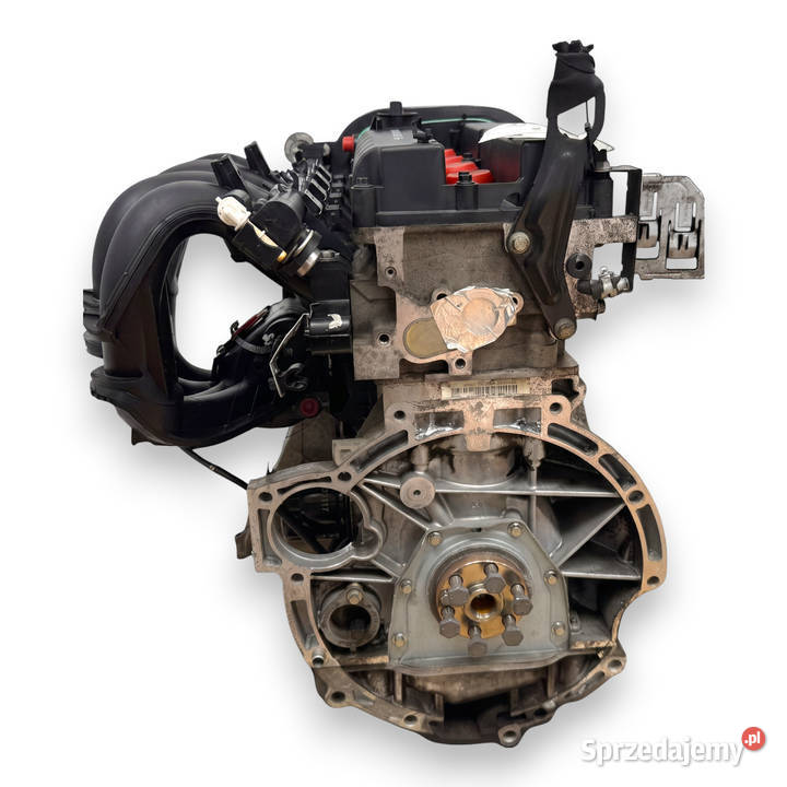 SILNIK SHDA Ford Focus II MK2 C C 16 16V 100 Chełm