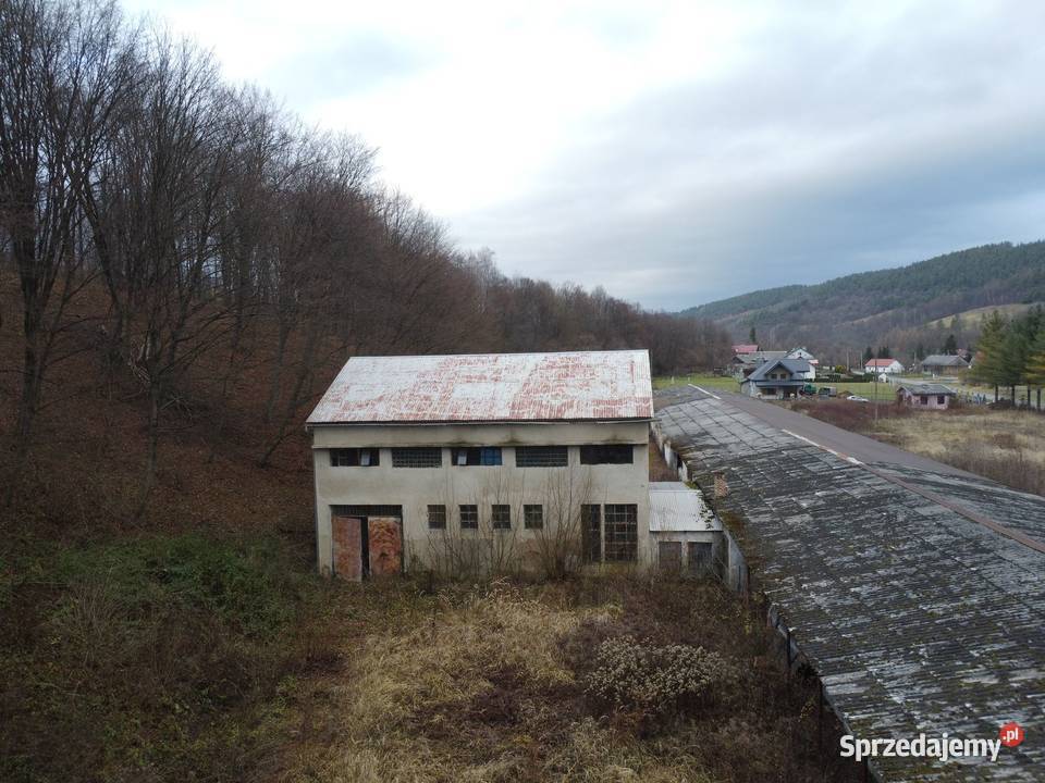 Nieruchomość komercyjna położona w zasięgu DK 28 Sprzedaż Hołuczków