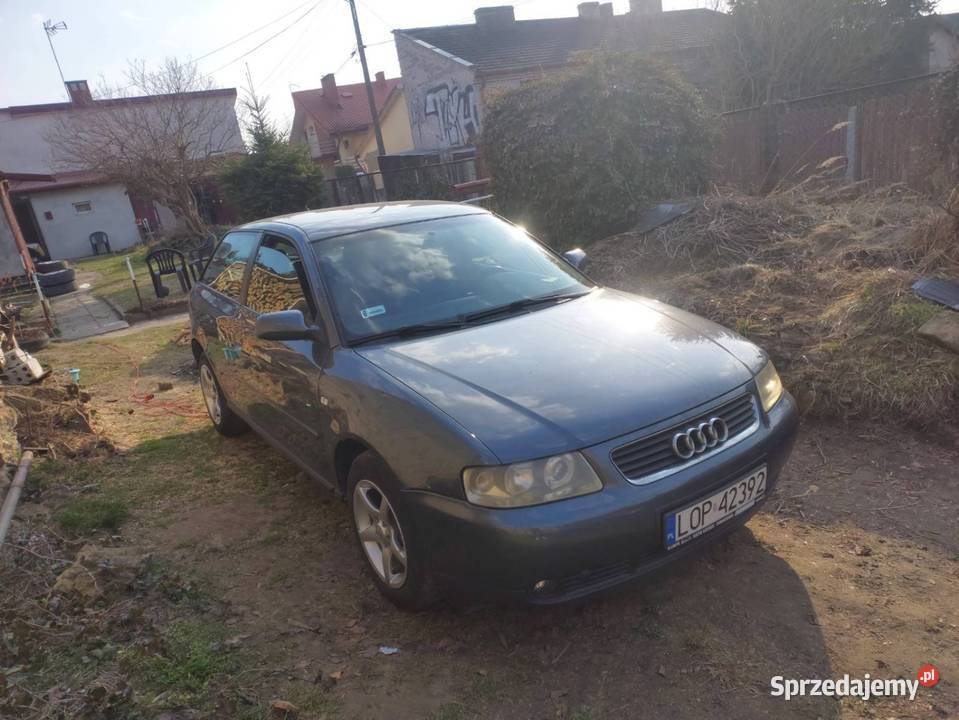Audi a3 16mpi 8l lifting 2/3 A3 świętokrzyskie