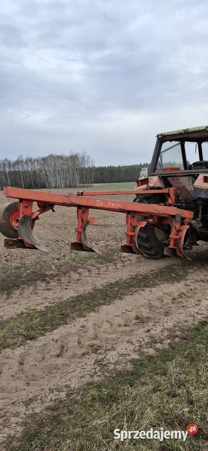 PŁUG AKPIL 4 Ciemnoszyje