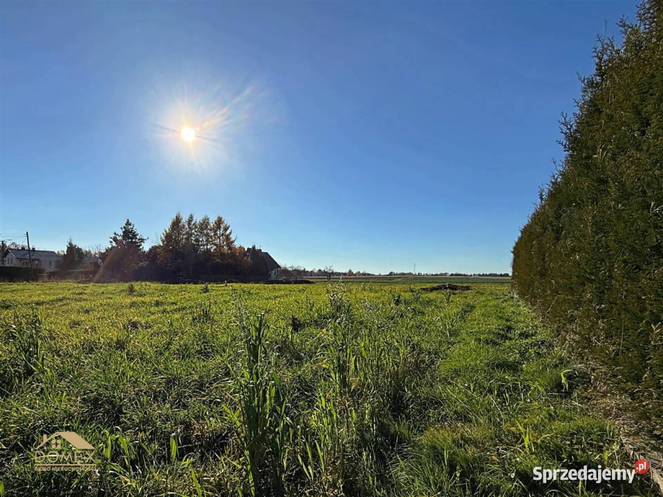Działka Pszczyna 989 metrów Sprzedaż