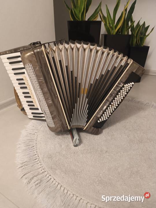 Akordeon victoria 80 basów Dębica