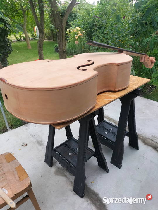 Kontrabas 34 Muzima z Filharmonii Lwowskiej świętokrzyskie