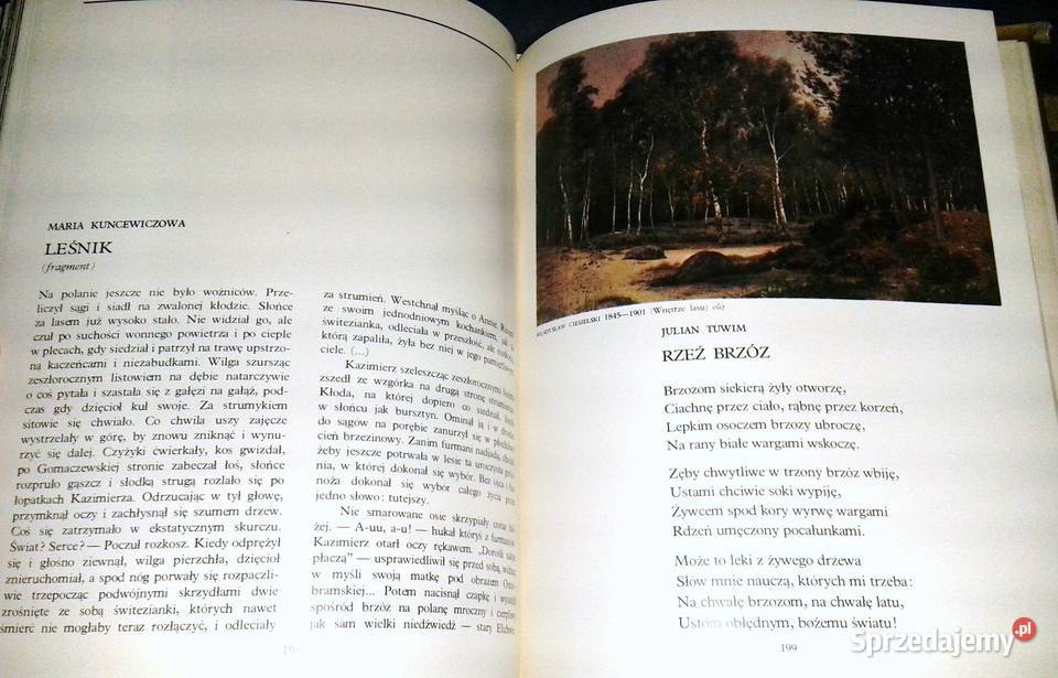 W głąb lasu Las w polskiej literaturze i sztuce Chełm sprzedam