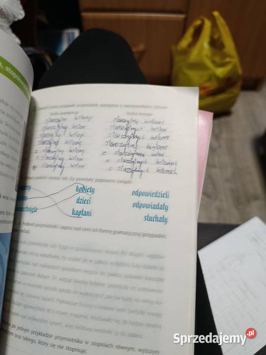 między nami język polski ćwiczenia klasa 5