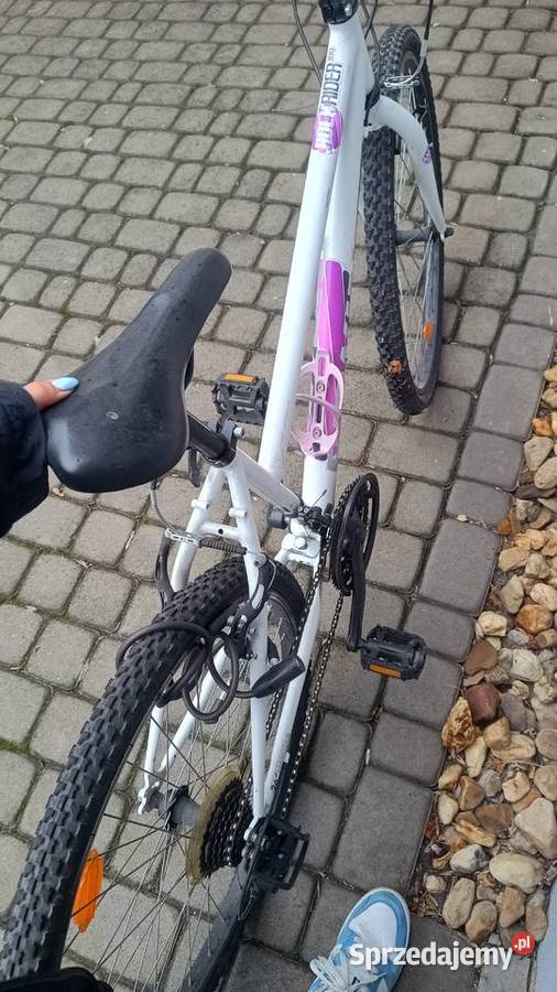 Rower damskimłodzieżowy