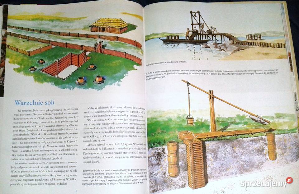 Piasta do Kadłubka W dawnej Polsce M Cetwiński Pozostałe lubelskie Chełm