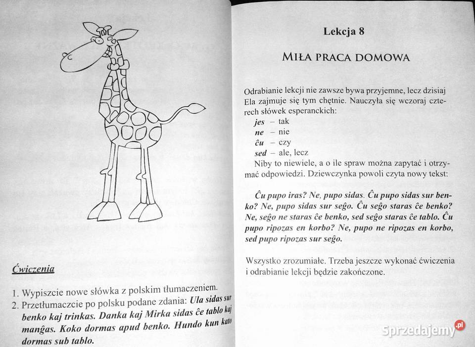 Nova aventuro Nowa przygoda Halina lubelskie Chełm