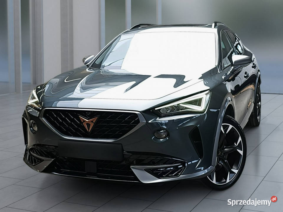 Cupra Formentor 20 TSI 4Drive VZ DSG Janki