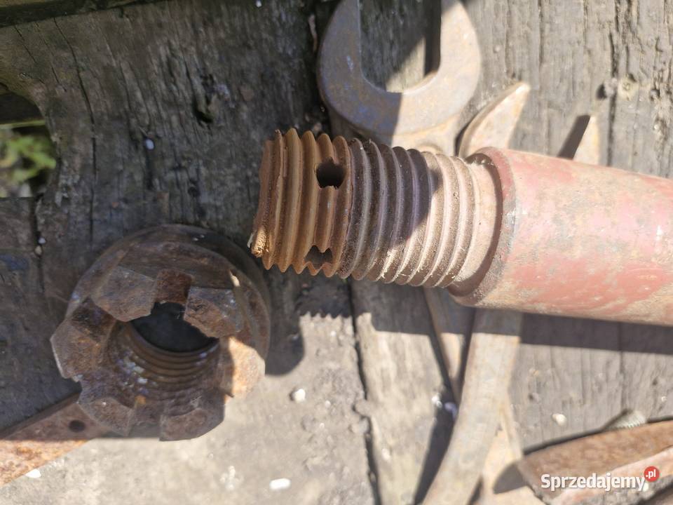 Ucho dyszla d50 d55 D83 D616 P4 autosan Szczecin