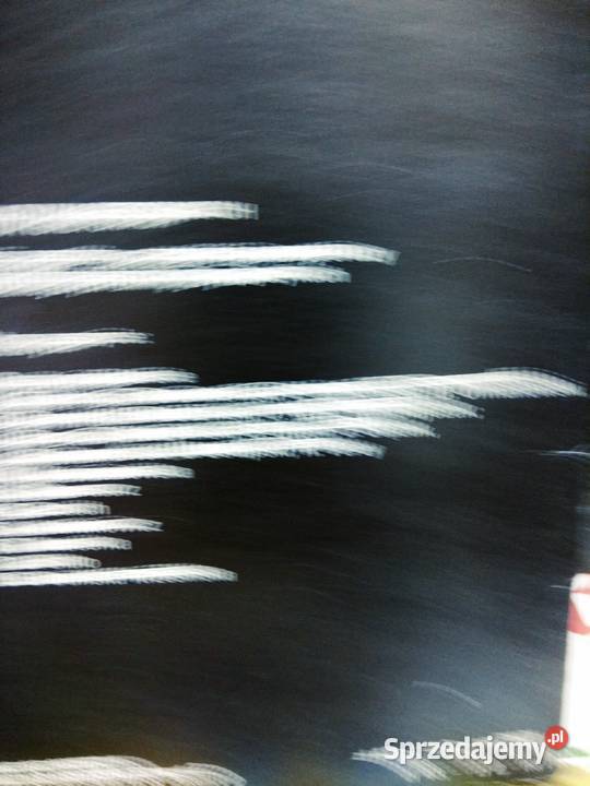 Poczet polskich olimpijczyków książki outlet mazowieckie Warszawa sprzedam