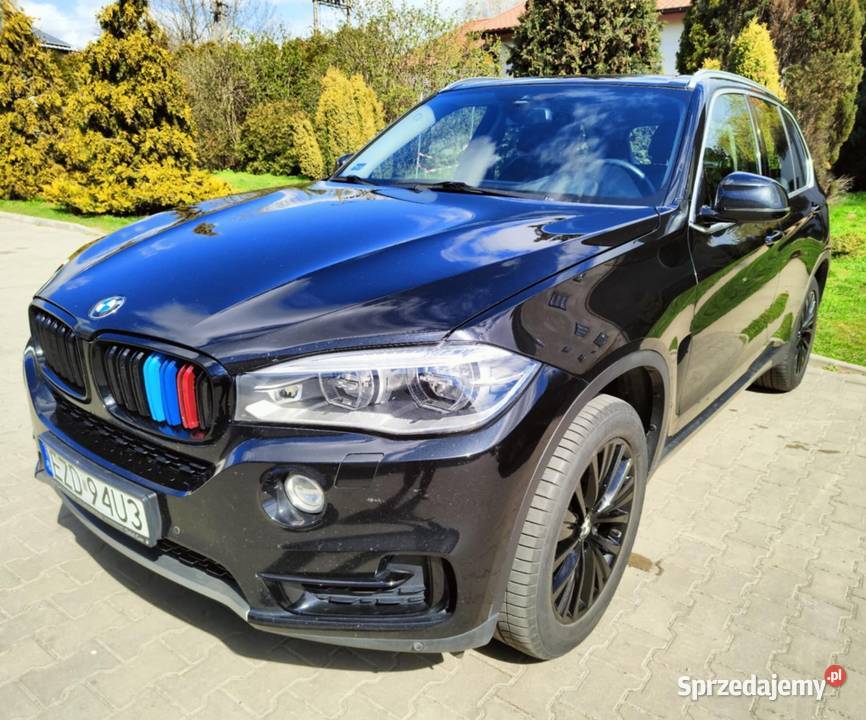 BMW X5 XDRIVE40D salon polski 313 nieuszkodzony Wojsławice