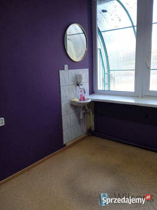 Lokal Janiszew 250m2 Wynajem sprzedam
