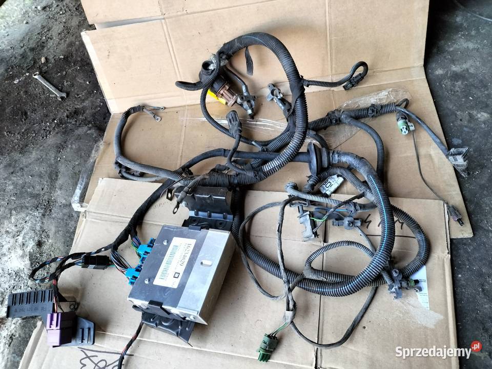 INSTALACJA SILNIKA KOMPUTER STEROWNIK OPEL ASTRA Kamień-Kolonia