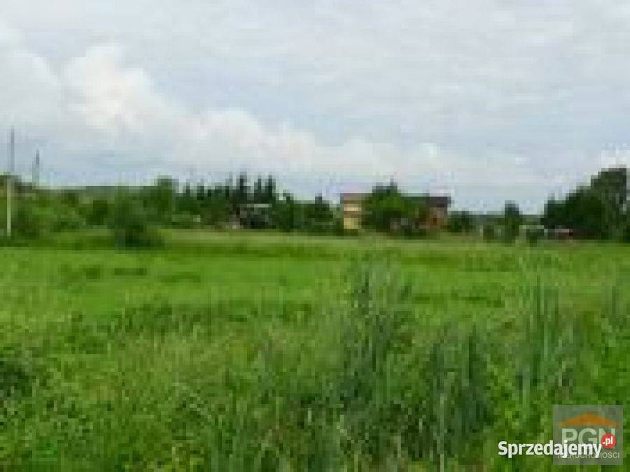 Działka Połchowo 4800m2 39zł/m2