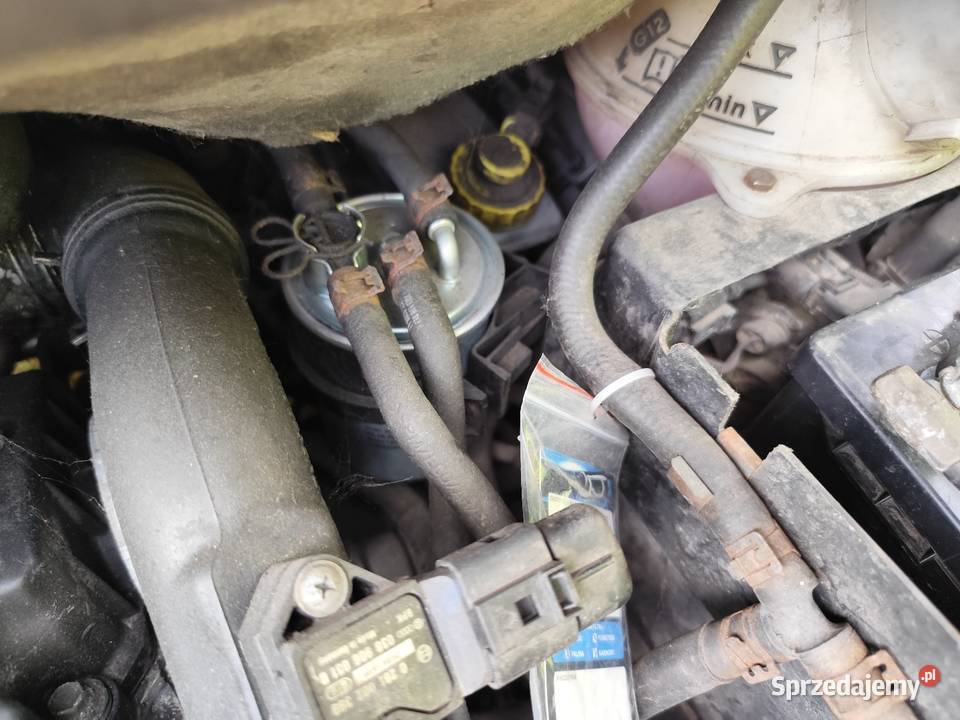 Seat Alhambra polift TDI automat w całości na Zaborowice sprzedam