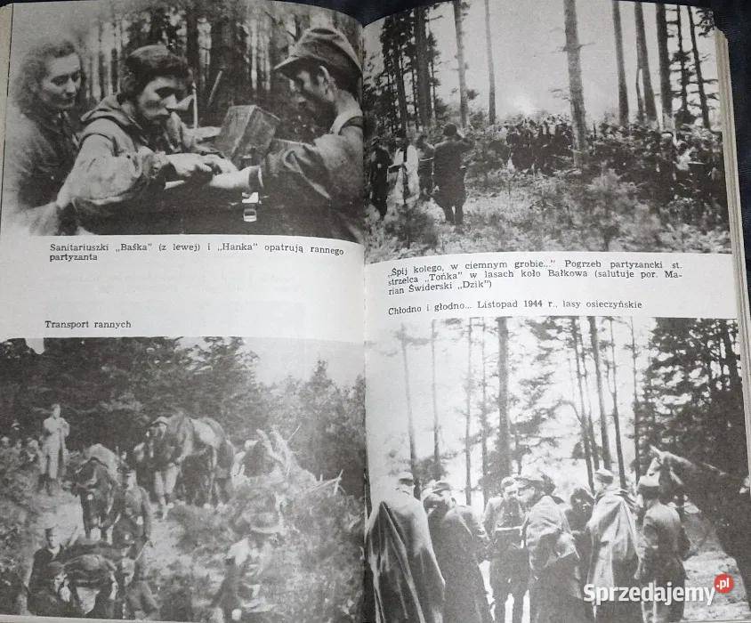 Polem lasem Mieczysław Młudzik Szczytniak Chełm