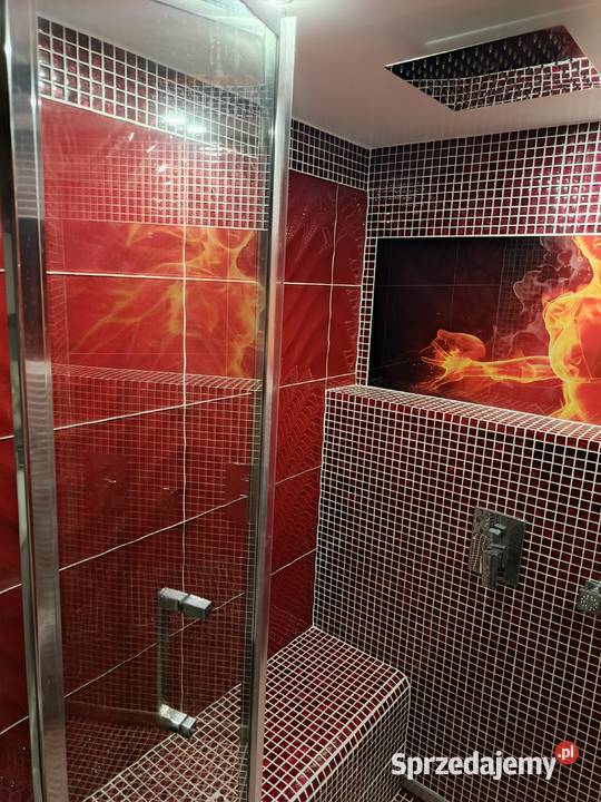 Spa we własnym domu Kompleksowe wykonanie łaźni Warszawa