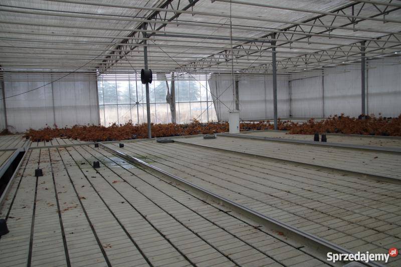 Szklarnia VENLO Kraków sprzedam