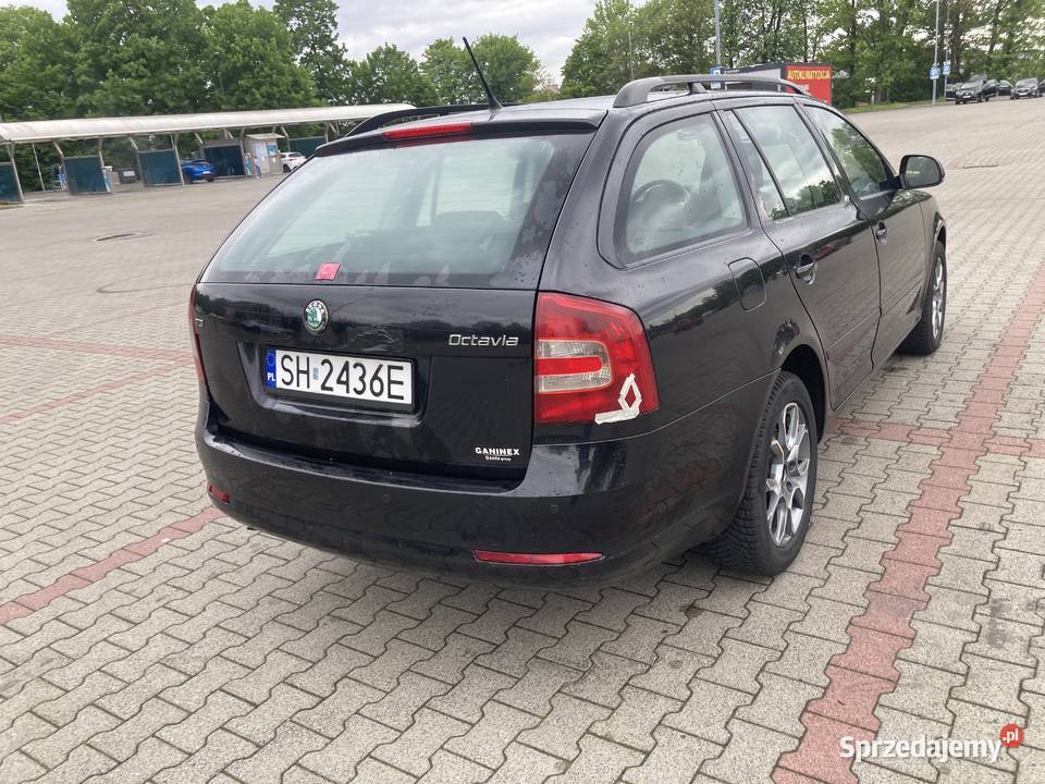 Skoda Octavia 20 TDI Octavia Octavia Chorzów