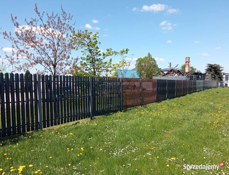 Sztacheta metalowa Ogrodzenia i bramy podkarpackie Nowa Sarzyna