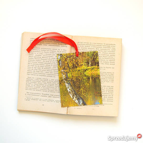 jesień zakładka do książki z pejzażem zakładka Katowice