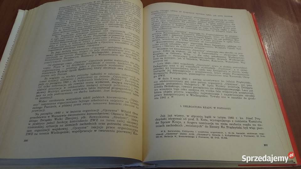 Wielkopolska w cieniu swastyki Edward Serwański