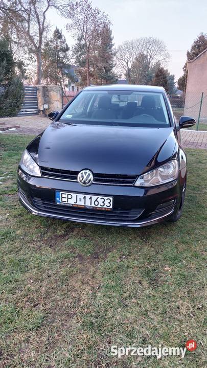 Volkswagen Golf VII 2016r Blue Motion Wieluń